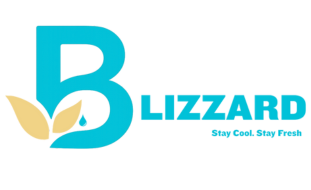 Blizzard