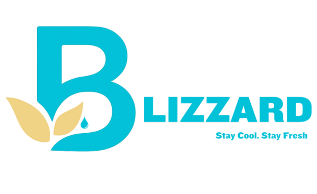 Blizzard