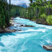 spring water 180x180 a1